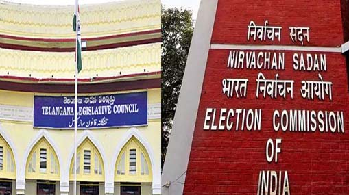 Bag Microwave : మీ షోల్డర్ బ్యాగే.. మైక్రోవేవ్
