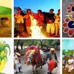 Sankranti : పండుగ ఒకటే.. పద్ధతులే వేరు..!