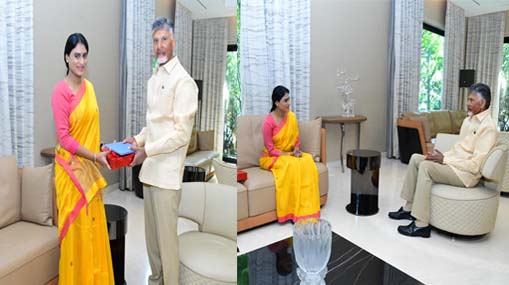 TDP-Janasena : ఉమ్మడి కృష్ణాజిల్లాలో టీడీపీ-జనసేన సీట్ల రాజకీయం.. అధిష్టానం మనసులో ఉన్నదెవరు..?