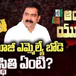 Penamaluru TDP Politics | పెనమలూరులో వైసీపీకి షాక్.. టిడిపిలోకి ఎమ్మెల్యే పార్థసారథి!