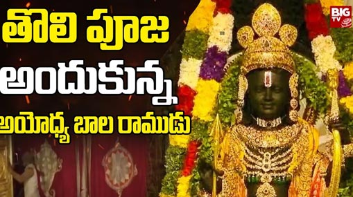 Kuno National Park : గుడ్ న్యూస్.. కునో నేషనల్ పార్క్ లో 3 పిల్లలకు జన్మనిచ్చిన చిరుత