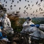 New Virus : గబ్బిలాలకు సోకే మరో వైరస్ గుర్తింపు.. కరోనా స్థాయిలో వ్యాపించే సామర్థ్యం..?