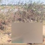 Rangareddy Crime: మొయినాబాద్ లో దారుణం.. పట్టపగలే యువతి హత్య, దహనం