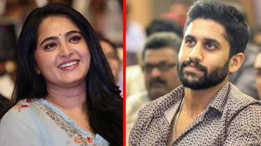 Kumari Aunty : కుమారి ఆంటీ క్రేజే వేరు.. నెలకు రూ. 18 లక్షలు..!