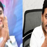YS Sharmila : రాజన్న బాణంలా దూసుకొస్తున్న షర్మిల..! వైసీపీలో గుబులు రేగుతోందా..?