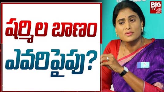 Rudraksha : పరమేశ్వర స్వరూపం .. రుద్రాక్ష