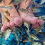 Fish Pedicure : ఫిష్ పెడిక్యూర్.. యమ డేంజర్ గురూ..!