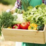 Organic Produce Sale: ఆర్గానిక్ ఉత్పత్తులు.. ఇలా అమ్మితే లాభసాటి..