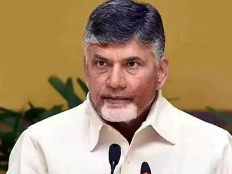 Viral Video : పిల్లి.. ఏమి స్టంట్లు కొట్టింది మామ..!