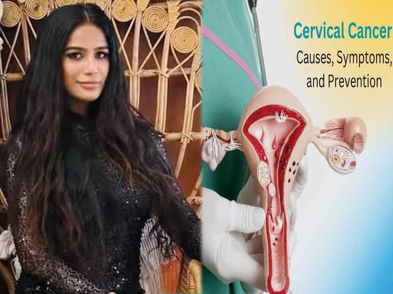 Poonam Pandey - Cervical cancer: పూనమ్ పాండేకు సర్త్వెకల్ క్యాన్సర్ ఎలా సోకింది..? దీని లక్షణాలు ఏంటి?