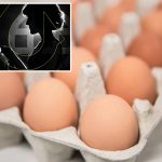 Rs 48,000 for 4 Dozen Eggs: రూ.48 వేలను స్వాహా చేసిన 4 డజన్ల కోడిగుడ్లు.. ఎలాగంటే?
