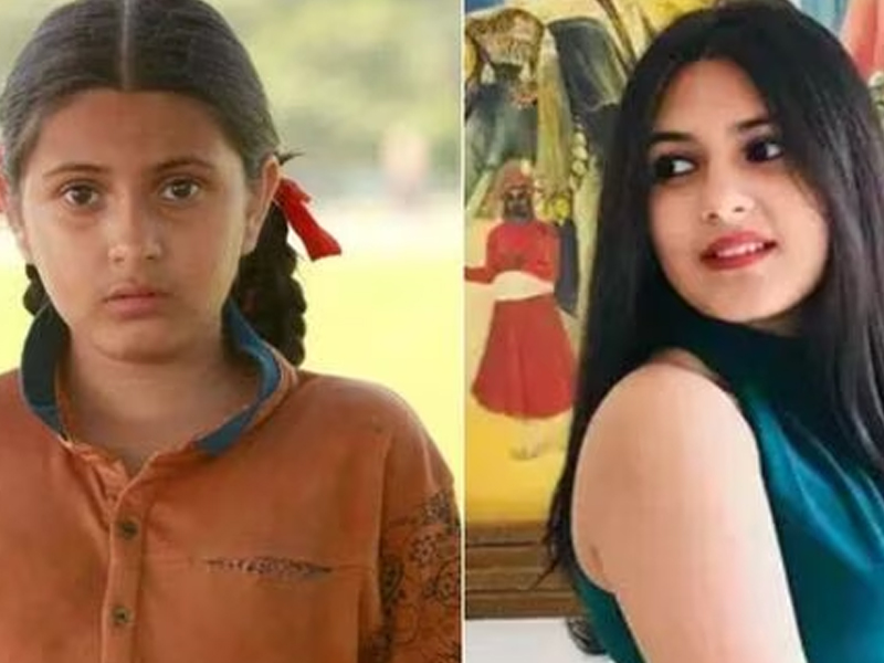 Suhani Bhatnagar Death: బ్రేకింగ్.. 'దంగల్‌' మూవీ నటి సుహానీ మృతి