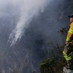 Chile Wildfire Effect on World: కార్చిచ్చులతో కలప బుగ్గి.. ప్రపంచదేశాలపై ప్రభావం..!