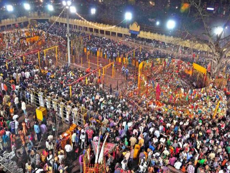 Chhatrapati Shivaji Pet Dog: ఛత్రపతి శివాజీ పెంపుడు కుక్క గొప్పతనం తెలుసా..?