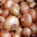 Ban On Onion Exports Extended: ఉల్లి ఎగుమతులపై మార్చి 31 వరకు నిషేధం.. స్పష్టం చేసిన కేంద్రం..