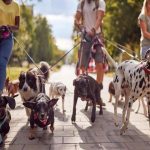 Pets Business : పదింతలుగా పెరుగుతోన్న పెట్స్ బిజినెస్..!