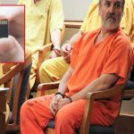 Alaska Dual Murder Case: నాలుగేళ్ల క్రితం జంటహత్యలు.. నిందితుడ్ని పట్టించిన ఎస్డీ కార్డు