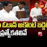 AP Cabinet Approves Vote On Account Budget : ఏపీ ఓటాన్ అకౌంట్ బడ్జెట్.. ప్రత్యేకతలివే
