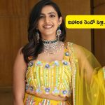 Niharika Konidela: రెండో పెళ్లికి రెడీ అయిన మెగా డాటర్ నిహారిక.. పిల్లల కోసం..