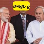 Elections 2024: ఒడిశాలో ఒంటరిగానే పోటీ.. బీజేడీతో పొత్తు లేదన్న బీజేపీ స్టేట్ చీఫ్..