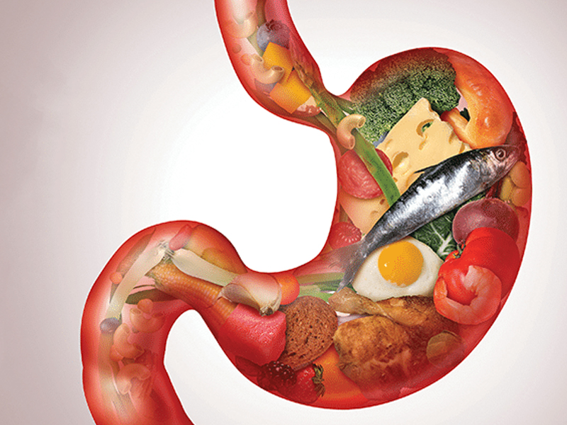 Stomach Cancer : మీ పొట్టలో ఇవి పడితే.. పొట్ట క్యాన్సర్ రావడం ఖాయం!