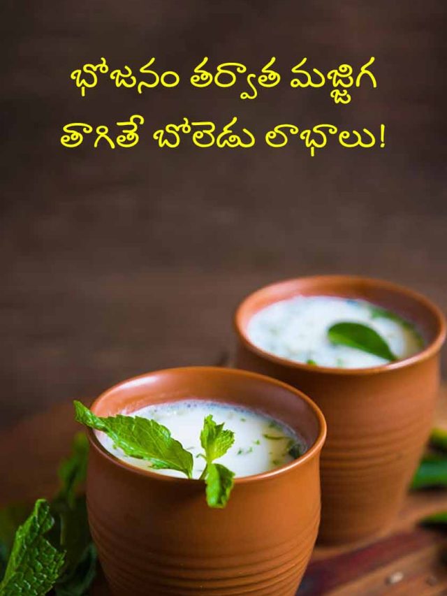 భోజనం తర్వాత మజ్జిగ తాగితే బోలెడు లాభాలు!