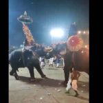 Elephants Fighting: ఊరేగింపులో ఏనుగులు బీభత్సం.. ఫైటింగ్ చేస్తూ పరుగులు