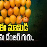 Danger Mangoes: ఈ మామిడి యమ డేంజర్ గురూ.. జర జాగ్రత్త
