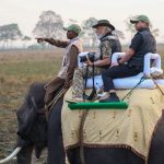 PM MODI Elephant Safari: కజిరంగా నేషనల్ పార్క్ లో.. ఏనుగుపై ప్రధాని మోదీ సఫారీ