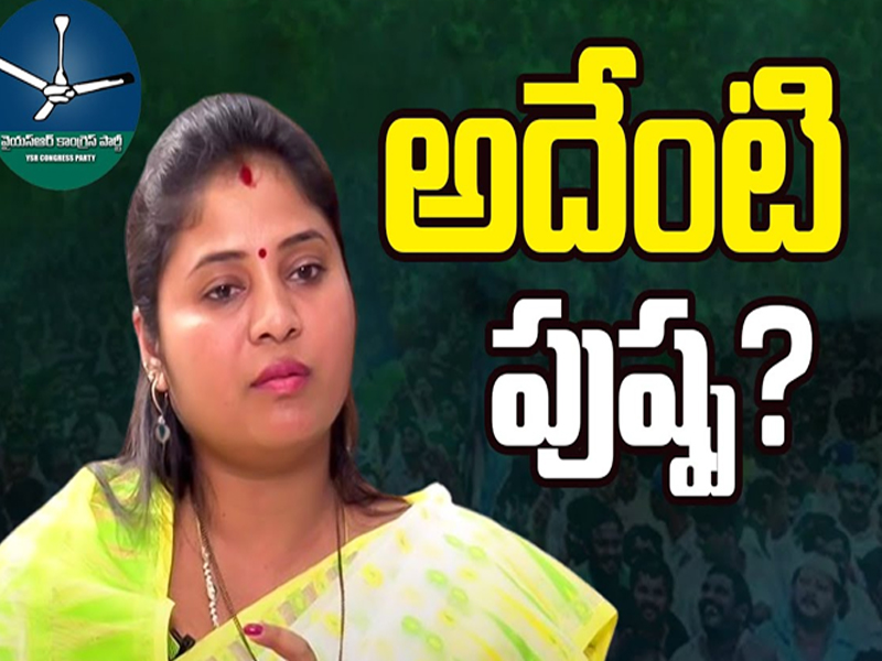 EC Notices to Chandra Babu: వైసీపీ ఫిర్యాదు.. చంద్రబాబుకు ఎన్నికల సంఘం నోటీసులు