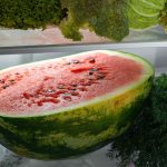 shocking facts about watermelon: వామ్మో.. పుచ్చకాయను ఫ్రిడ్జిలో పెడుతున్నారా?.. అయితే జాగ్రత్త..