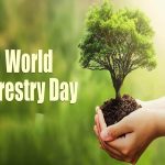 World Forest Day2024: అడవుల రక్షణ అందరి బాధ్యత.. ప్రపంచ అటవీ దినోత్సవం
