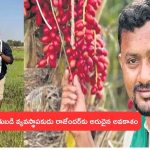 Rythubadi Rajender Invited by IIIT Delhi: రైతుబడి వ్యవస్థాపకుడు రాజేందర్‌ కు అరుదైన అవకాశం.. ఢిల్లీలో ఐఐఐటీ ఆహ్వానం