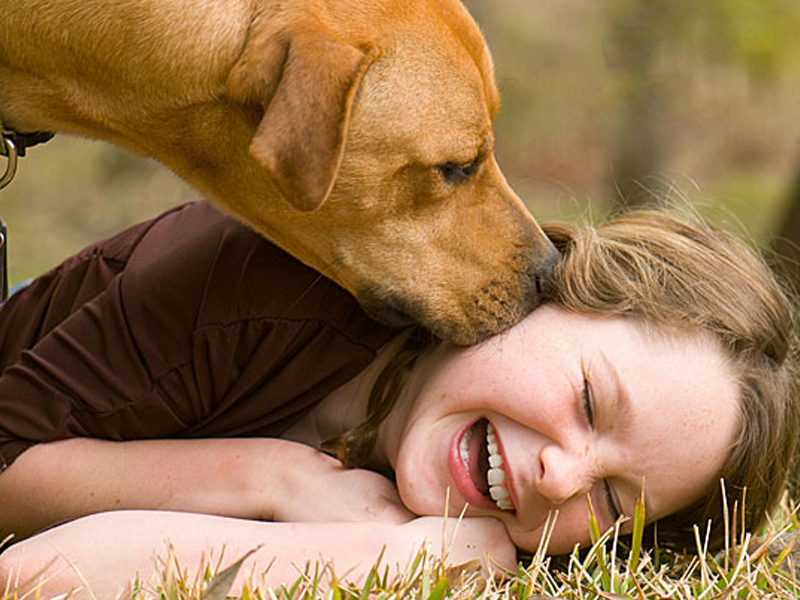 Pets : పెంపుడు జంతువులు అంటే ఇష్టమా?.. డేంజర్ డిసీజెస్!