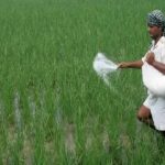 Good News For Farmers: రైతులకు శుభవార్త.. ఖరీఫ్ లో రూ. 24,420 కోట్ల రాయితీ..