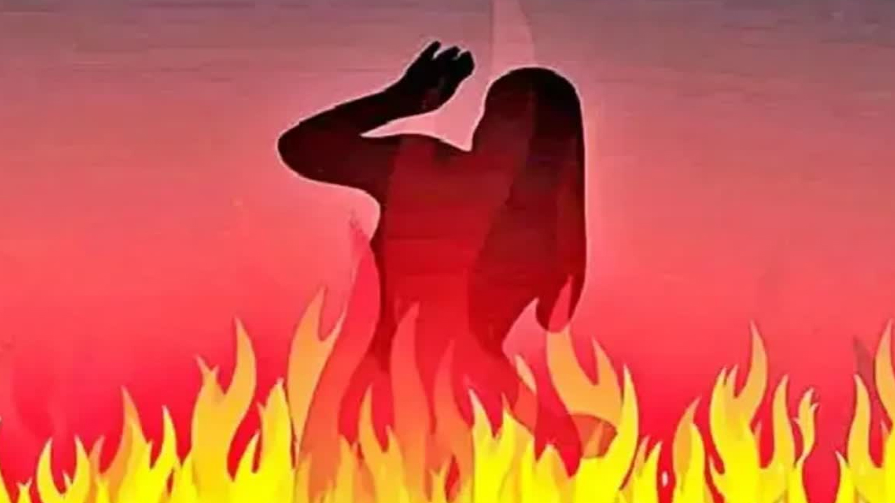Vasuki Indicus: గుజరాత్ లో అతి పెద్ద శిలాజం.. ఆసక్తికర విషయాలు వెలుగులోకి..!
