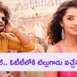 Tillu Square in OTT: ఇట్స్ అఫీషియల్.. థియేటర్లలో కుమ్మేసిన టిల్లుగాడు.. ఇప్పుడు ఓటీటీలోకి వచ్చేస్తున్నాడు!