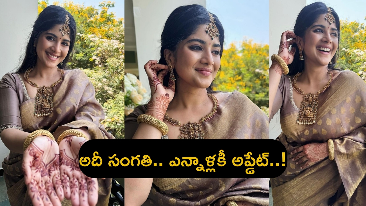 Megha Akash: పెళ్లి పీటలెక్కనున్న మరో అందాల నటి.. ఫొటోస్ వైరల్!