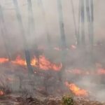 Uttarakhand Massive fire Accident: ఉత్తరాఖాండ్‌లో కార్చిచ్చు.. భారీగా ఎగిసిపడుతున్న మంటలు..
