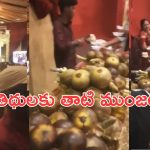Ice Apples in Marriage Reception: పెళ్లి రిసెప్షన్‌లో తాటి ముంజలు.. ఆశ్చర్యపోయిన అతిథులు!
