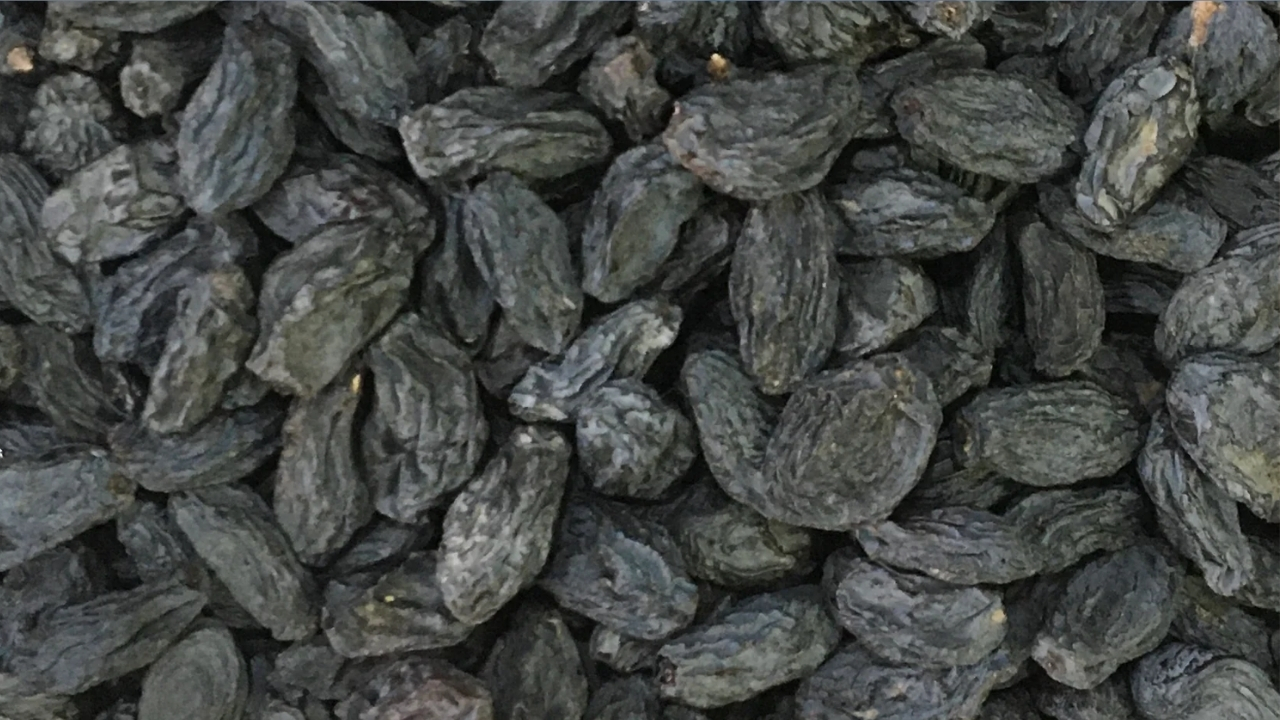 Black Raisins: నల్ల ఎండు ద్రాక్షతో ఆరోగ్యానికి అనేక ప్రయోజనాలు