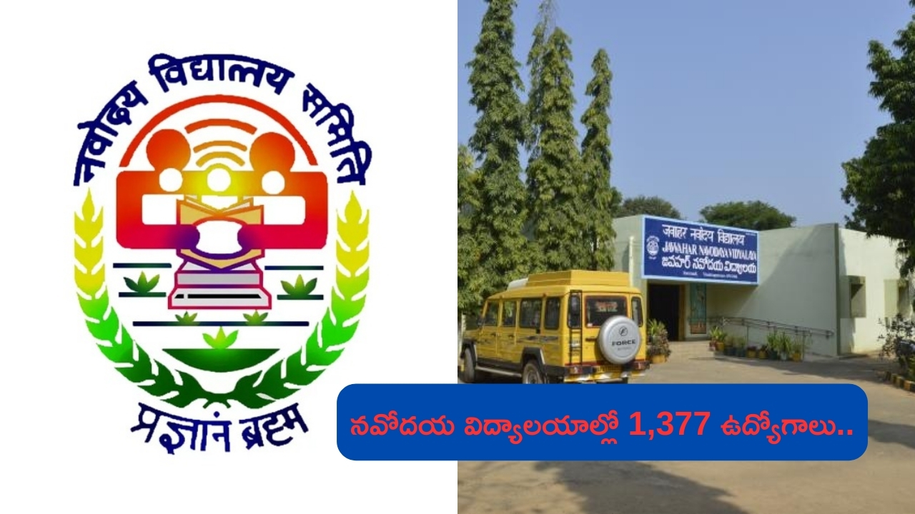NVS Recruitment 2024: నవోదయ విద్యాలయాల్లో 1,377 ఉద్యోగాలు.. మరికొన్ని గంటలే ఛాన్స్..!