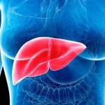 World Liver Day: మీ లివర్‌ను ఆరోగ్యంగా ఉంచుకోవాలంటే.. ఈ ఫుడ్ తినాల్సిందే