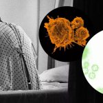 Cancer Causing Items in Home: మీ ఇంట్లో ఈ 7 వస్తువులు వాడుతున్నారా.. అయితే క్యాన్సర్ బారిన పడినట్లే!