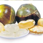 Health Tips In Summer: తాటి ముంజలతో ఎన్నో ఆరోగ్య ప్రయోజనాలు.. అందంగా కనిపించాలంటే ఇది బెస్ట్ ఛాయిస్