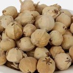 Paneer Flower Controls Sugar Levels: ఈ పువ్వుతో షుగర్ వ్యాధి క్షణాల్లో మాయం.. కనిపిస్తే వదలకండి