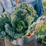 Kale Health Benefits: ఈ ఆకుకూర తింటే ఎప్పటికి కుర్రాళ్ల లాగే ఉండిపోతారు!