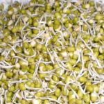 Mung Bean Sprouts Benefits: బ్రేక్‌ఫాస్ట్‌లో పెసర్లు తింటున్నారా.. ఒక్క దెబ్బతో ఆ జబ్బులన్నీ పరార్!