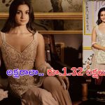 Alia Bhatt Dress Cost: హీరామండీ ప్రీమియర్.. అలియా ధరించిన డ్రెస్ రేటు తెలిస్తే దిమ్మ తిరగాల్సిందే..?