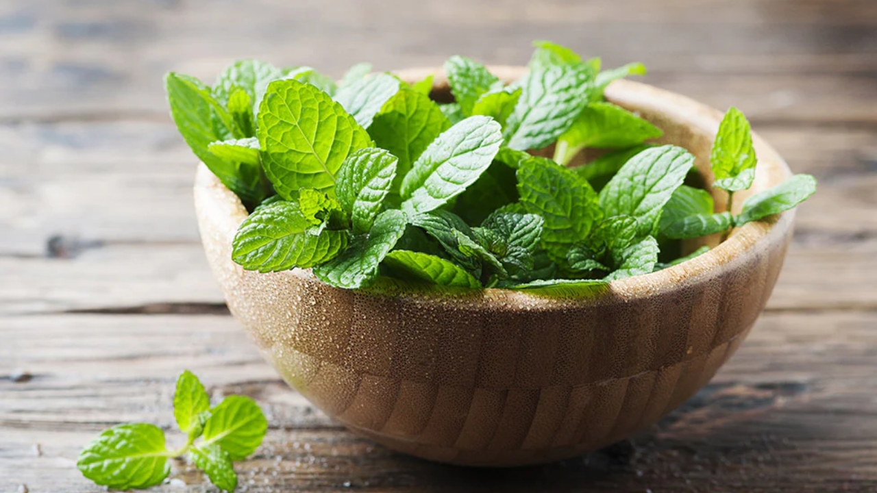 Beauty Tips: పుదీనా ఆకులతో అందమైన చర్మం మీ సొంతం..